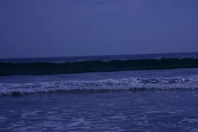 DSC_2139 (Large).JPG